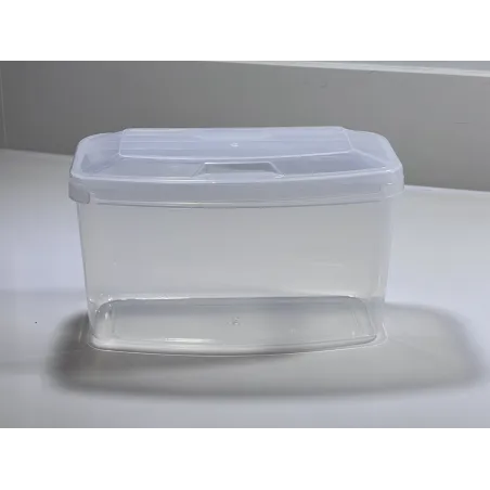 Transparent Plastic Mask Box