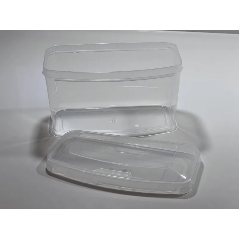 Boîte pour masque en plastique transparent