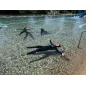 SSI Basic Freediver cours