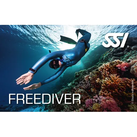 SSI Freediver cours