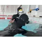 SSI Freediver cours