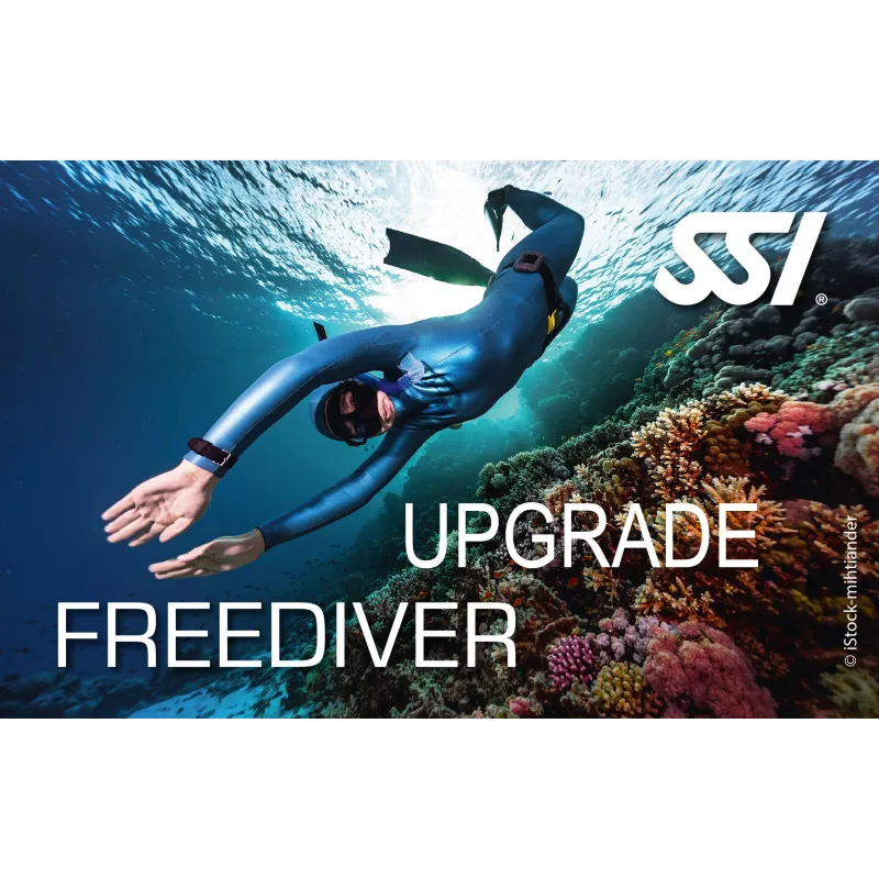 SSI Freediver Upgrade corso