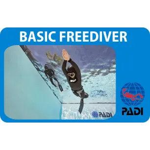 PADI Basic Freediver Kurs