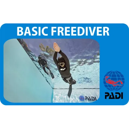 PADI Basic Freediver corso