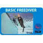 PADI Basic Freediver cours