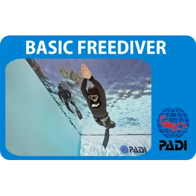 PADI Basic Freediver Kurs