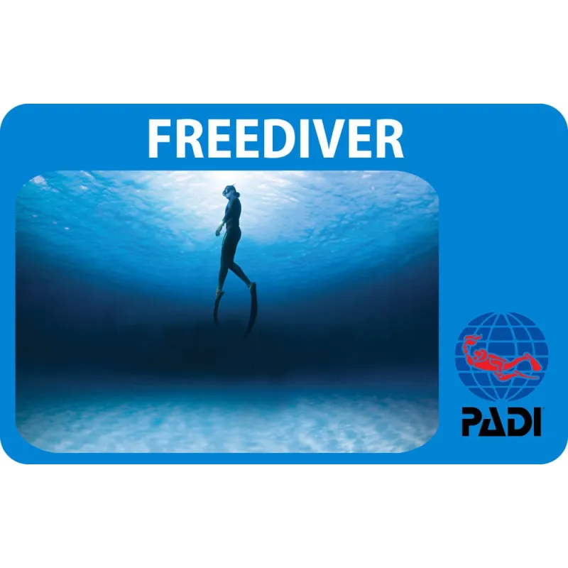 PADI Freediver Kurs