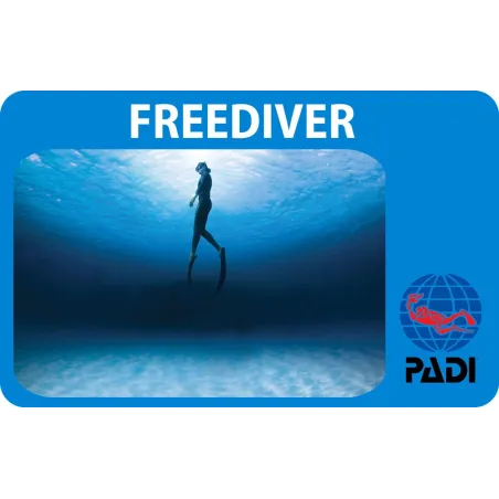 PADI Freediver cours