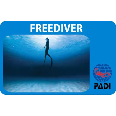 PADI Freediver cours