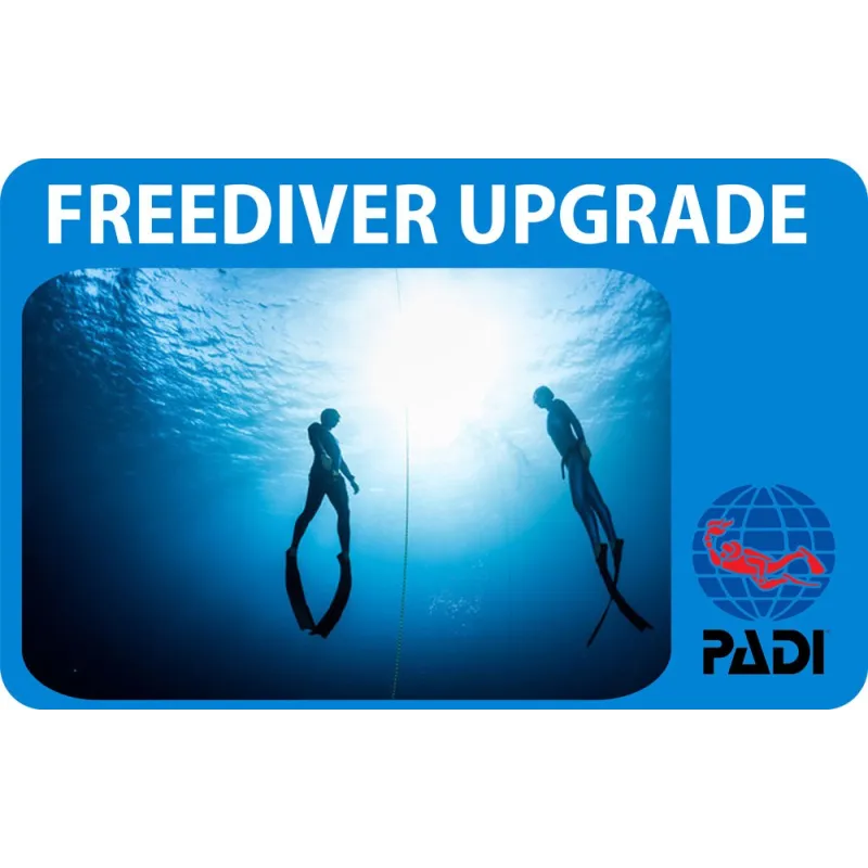 PADI Freediver Upgrade corso