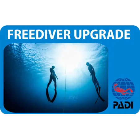 PADI Freediver Upgrade corso