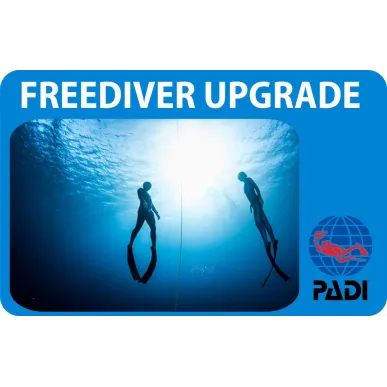 PADI Freediver Upgrade Kurs