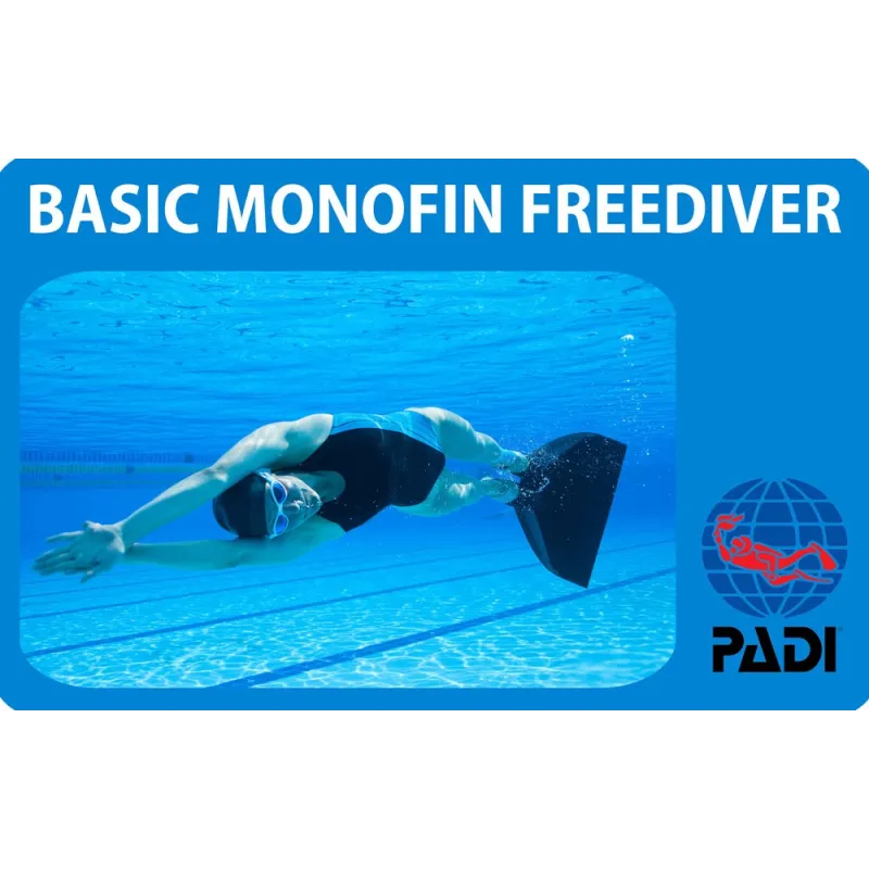 PADI Basic Monofin Freediver cours de spécialité