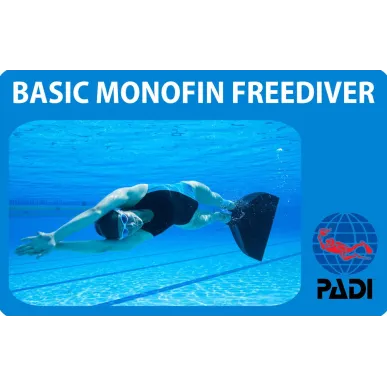 PADI Basic Monofin Freediver corso di specializzazione