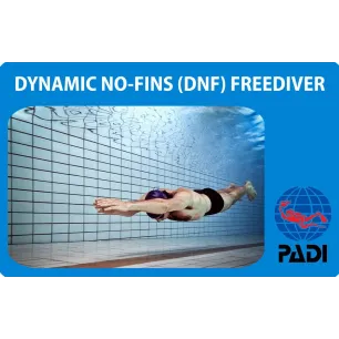 PADI Dynamic No-Fins (DNF) Freediver Specialty Kurs