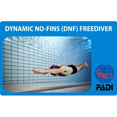 PADI Dynamic No-Fins (DNF) Freediver Specialty Kurs