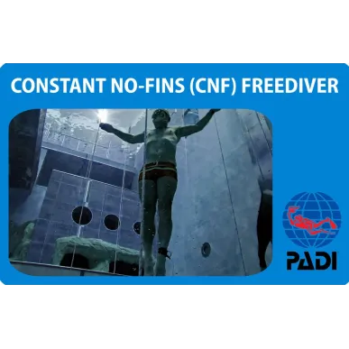 PADI Contant No-Fins (CNF) Freediver Specialty Kurs