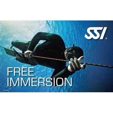 SSI Free Immersion cours