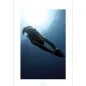 Buch Freediving von Simo Kurra, Kimmo Lahtinen und Ari Nissinen