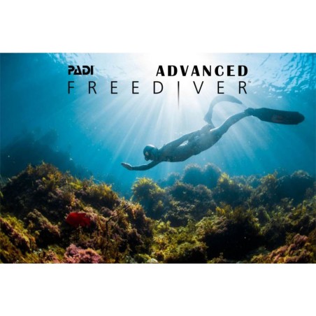PADI Advanced Freediver Kurs