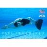 PADI Basic Monofin Freediver corso di specializzazione