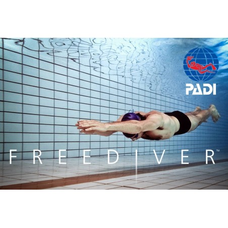 PADI Dynamic No-Fins (DNF) Freediver Specialty Kurs