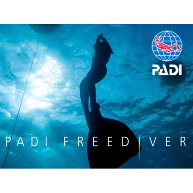 PADI Monofin Freediver Specialty Kurs