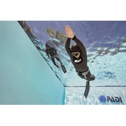 PADI Basic Freediver course