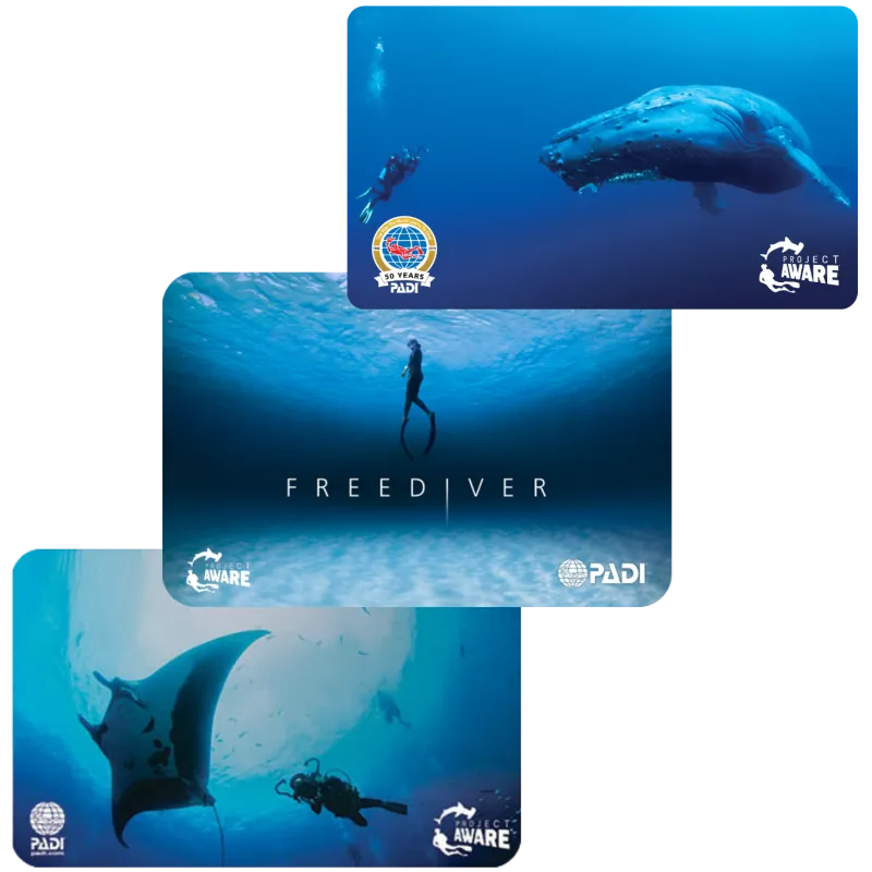 PADI replacement card