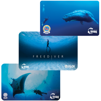 PADI replacement card