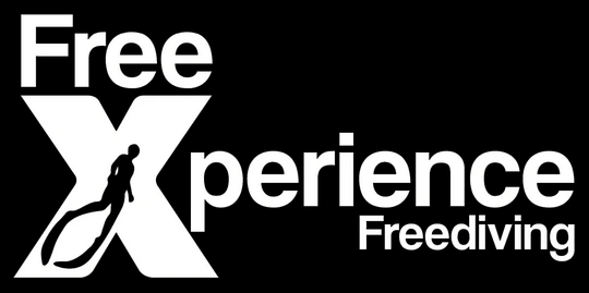 FreeXperience