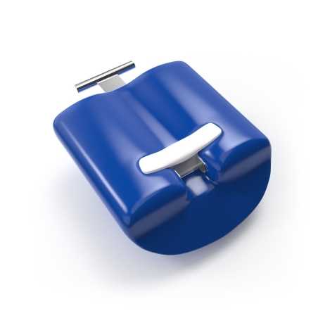 Lobster Weight Segment