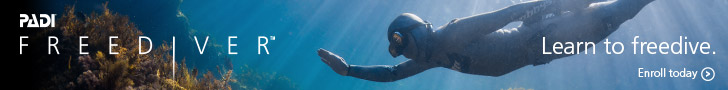 Explore the underwater world with just one breath